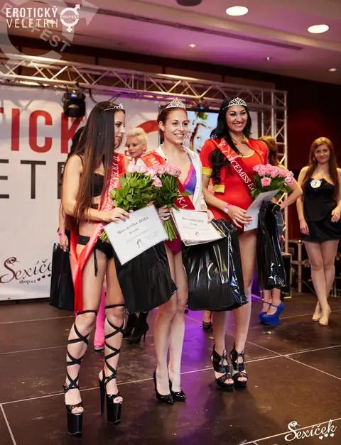 Erotický veletrh 2015 — fotografie 35 z 36