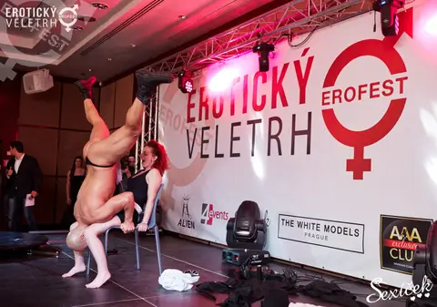 Erotický veletrh 2015 — fotografie 29 z 316