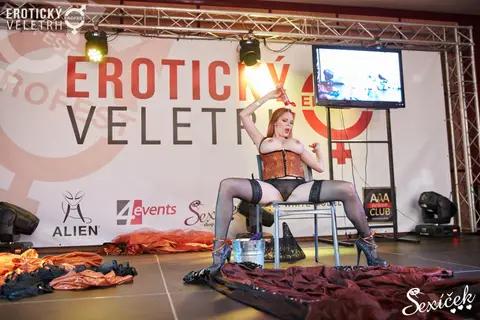 Erotický veletrh 2015 — fotografie 223 z 316