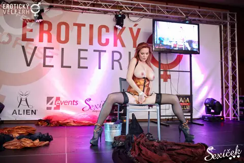 Erotický veletrh 2015 — fotografie 225 z 316