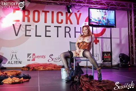 Erotický veletrh 2015 — fotografie 226 z 316