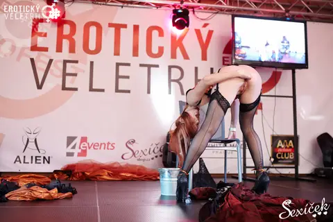 Erotický veletrh 2015 — fotografie 227 z 316