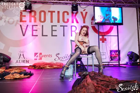 Erotický veletrh 2015 — fotografie 230 z 316