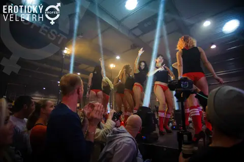Erotický veletrh 2016 — fotografie 17 z 92