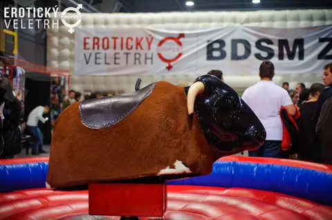 Erotický veletrh 2016 — fotografie 51 z 92
