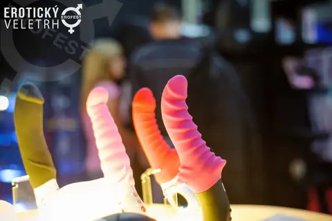 Erotický veletrh 2016 — fotografie 56 z 92