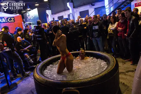 Erotický veletrh Bratislava 2017 — fotografie 9 z 160
