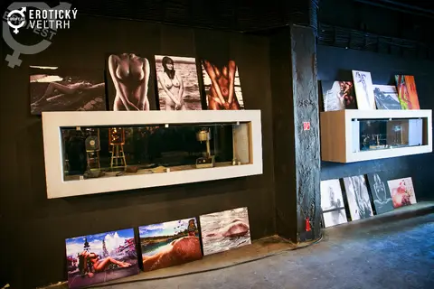 Erotický veletrh Bratislava 2017 — fotografie 39 z 160