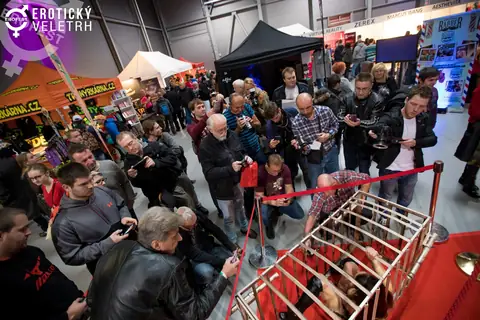 Erotický veletrh 2017 — fotografie 5 z 36