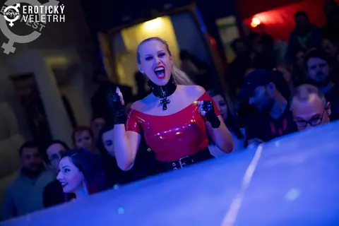 Erotický veletrh 2017 — fotografie 9 z 36