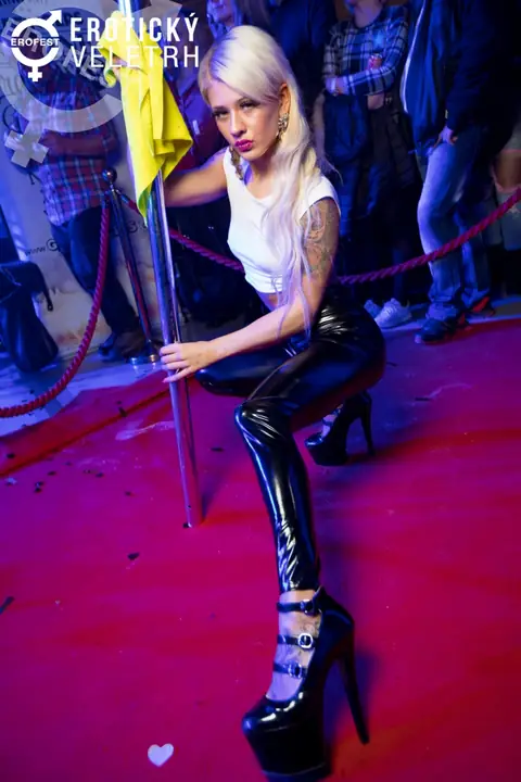 Erotický veletrh 2017 — fotografie 16 z 36