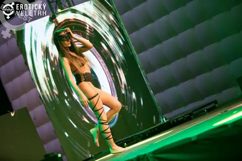 Erotický veletrh 2017 — fotografie 42 z 171