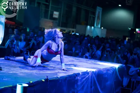 Erotický veletrh 2017 — fotografie 55 z 171