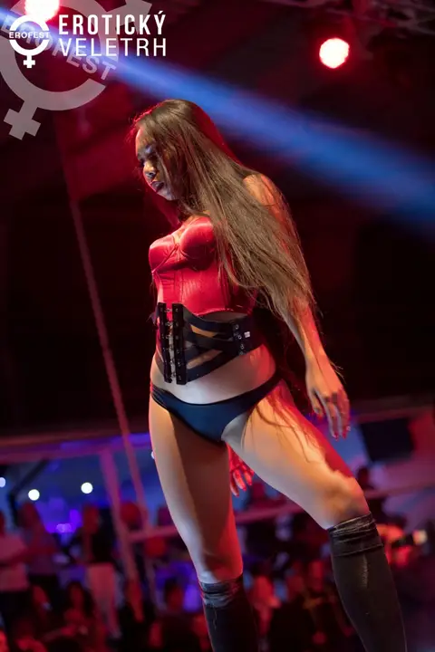 Erotický veletrh 2017 — fotografie 57 z 171