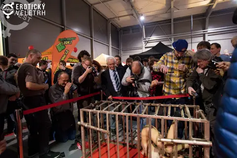 Erotický veletrh 2017 — fotografie 122 z 171