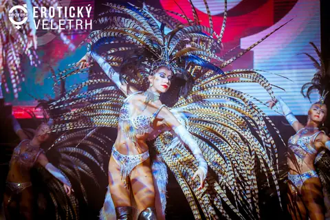 Erotický veletrh 2018 — fotografie 19 z 36