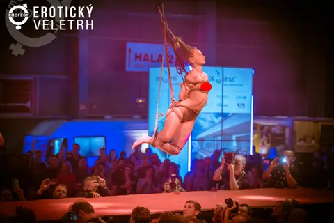 Erotický veletrh 2018 — fotografie 22 z 53