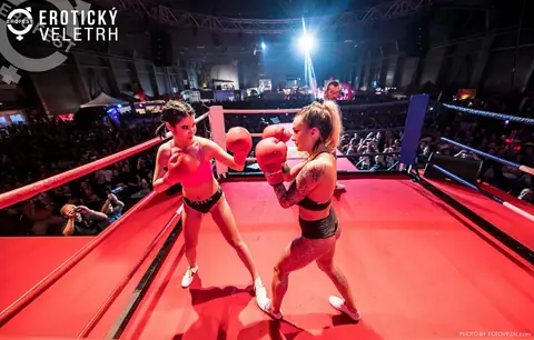 Erotický veletrh 2019 — fotografie 21 z 36