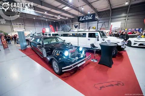 Erotický veletrh 2019 — fotografie 31 z 500