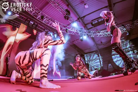 Erotický veletrh 2019 — fotografie 155 z 500