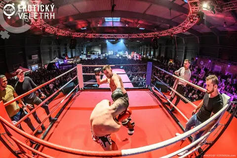 Erotický veletrh 2019 — fotografie 269 z 500