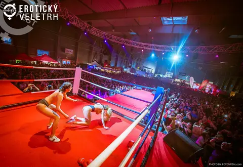 Erotický veletrh 2019 — fotografie 279 z 500