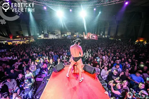 Erotický veletrh 2019 — fotografie 285 z 500