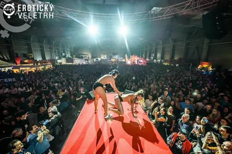 Erotický veletrh 2019 — fotografie 286 z 500