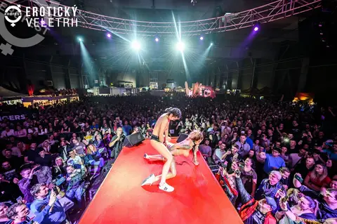 Erotický veletrh 2019 — fotografie 287 z 500