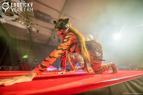Erotický veletrh 2019 — fotografie 310 z 500