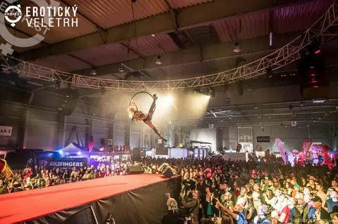 Erotický veletrh 2019 — fotografie 312 z 500
