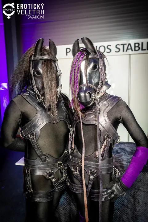 EroFest 2025 — fotografie 37 z 504