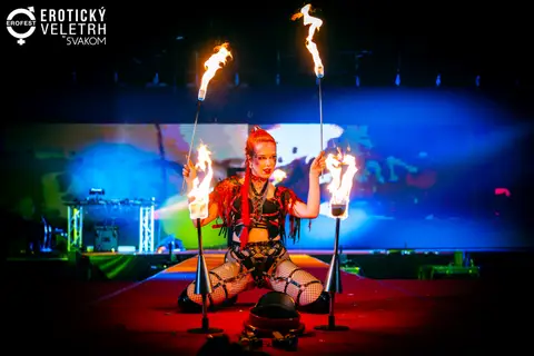EroFest 2025 — fotografie 193 z 504