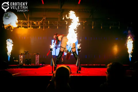 EroFest 2025 — fotografie 202 z 504