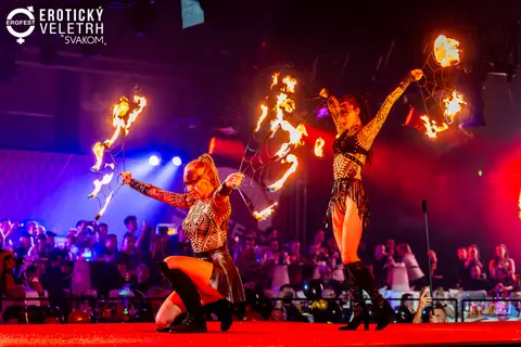 EroFest 2025 — fotografie 392 z 504